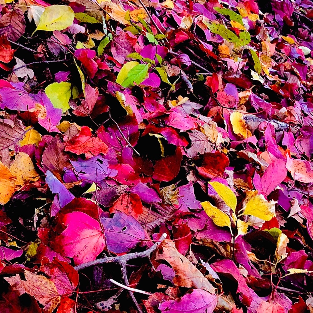 DO YOU TRADE? LIKE THIS POST